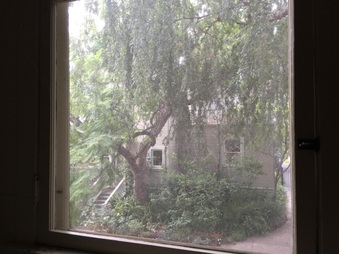 Enlarge photo 27