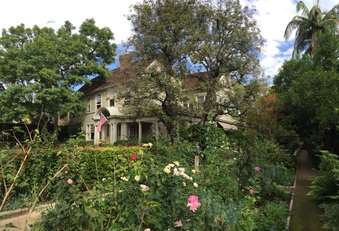 Enlarge photo 62
