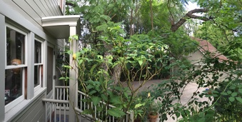 Enlarge photo 97