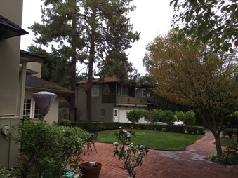 Enlarge photo 41