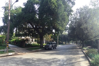 Enlarge photo 9