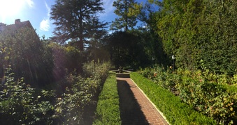 Enlarge photo 15