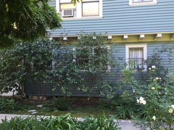 Enlarge photo 9