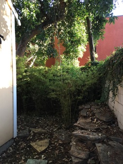 Enlarge photo 113