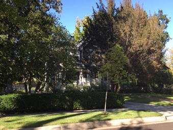 Enlarge photo 7