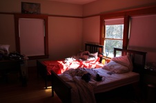 Enlarge photo 33