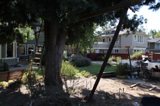 Enlarge photo 19
