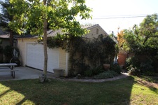Enlarge photo 41