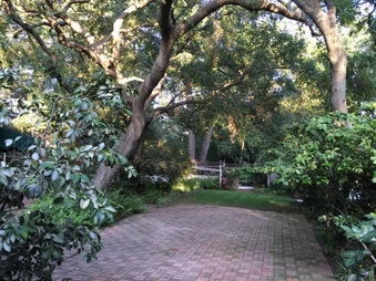 Enlarge photo 19
