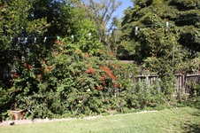 Enlarge photo 17