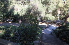 Enlarge photo 4