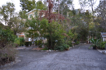 Enlarge photo 54