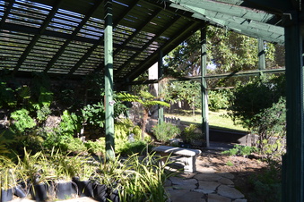 Enlarge photo 81