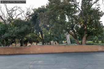 Enlarge photo 51