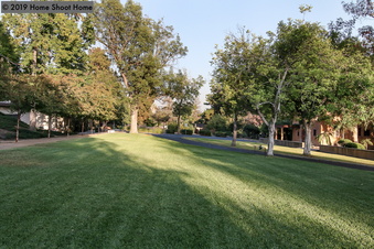Enlarge photo 57
