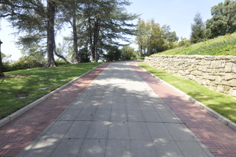 Enlarge photo 97