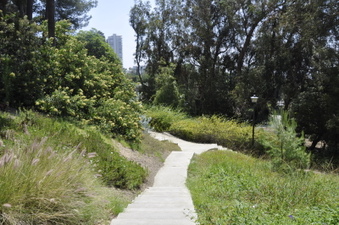 Enlarge photo 102