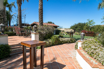 Enlarge photo 113