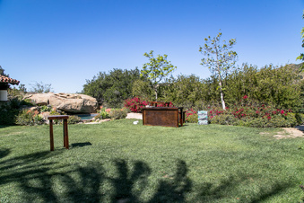 Enlarge photo 115