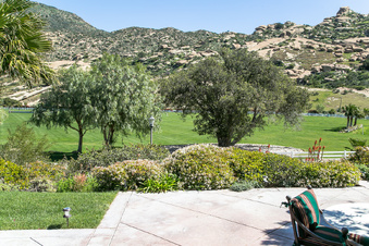 Enlarge photo 139