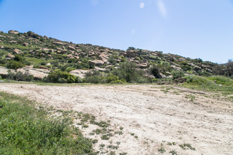 Enlarge photo 156