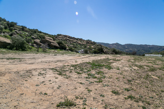 Enlarge photo 160