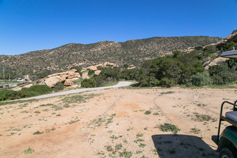 Enlarge photo 161