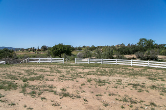 Enlarge photo 163