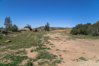 Enlarge photo 167