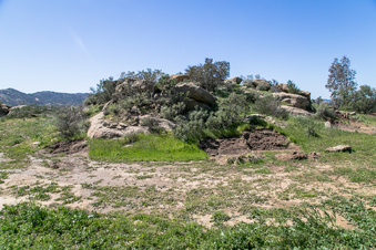 Enlarge photo 169