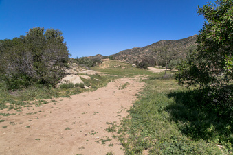 Enlarge photo 170