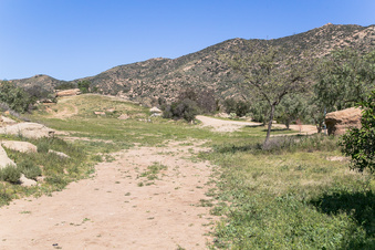 Enlarge photo 171