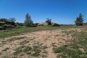 Enlarge photo 172