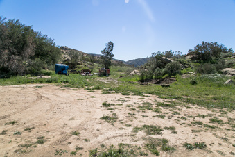 Enlarge photo 173