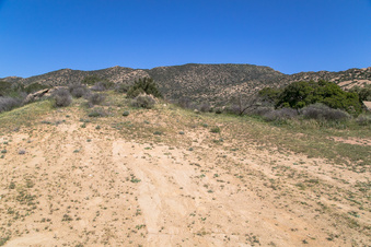 Enlarge photo 175