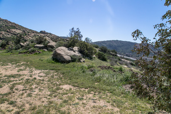 Enlarge photo 176