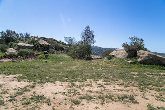 Enlarge photo 178