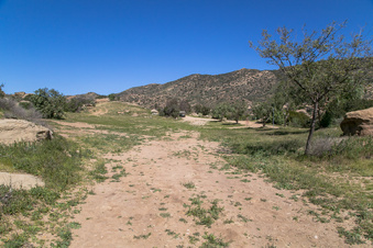 Enlarge photo 179