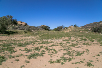 Enlarge photo 180
