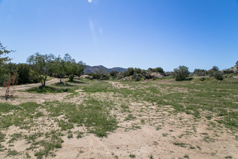 Enlarge photo 181