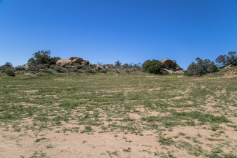 Enlarge photo 182