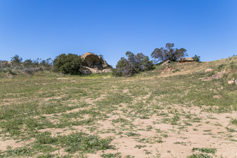 Enlarge photo 183