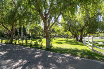 Enlarge photo 184