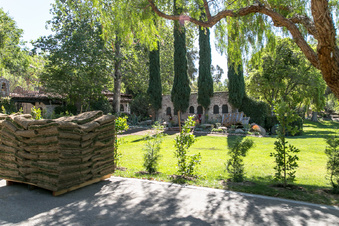 Enlarge photo 185