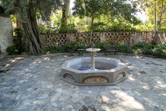 Enlarge photo 197