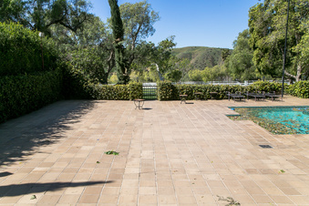 Enlarge photo 198
