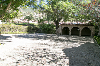 Enlarge photo 206