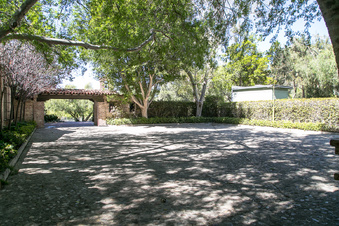 Enlarge photo 211