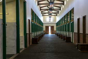 Enlarge photo 248