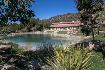 Enlarge photo 253